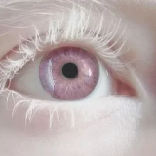 👀