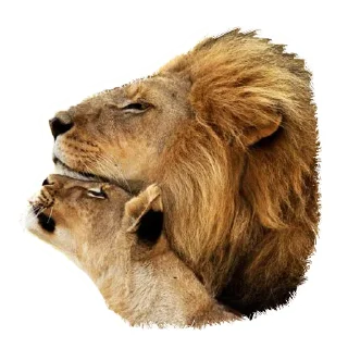 👩‍❤️‍👨