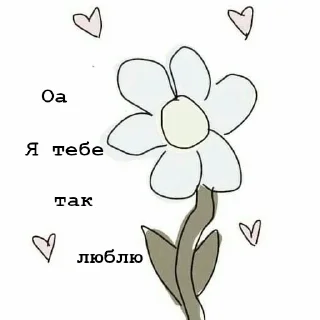 ❤️