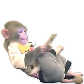 🐒