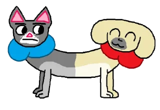 🐶