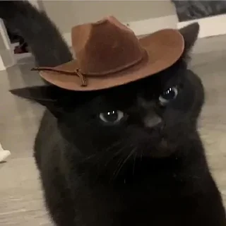 🤠