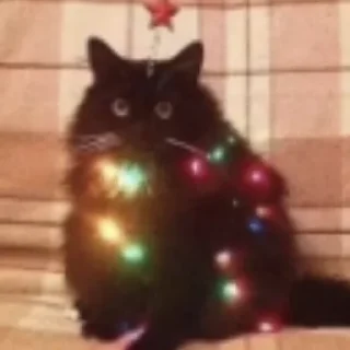 🎄