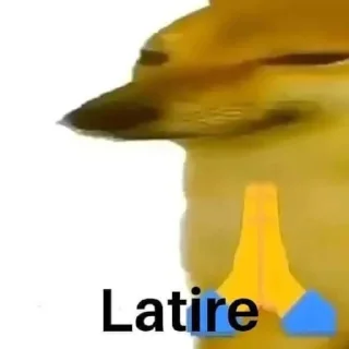 🙌