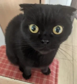 😳