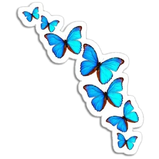 🦋