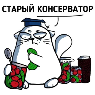 🥫