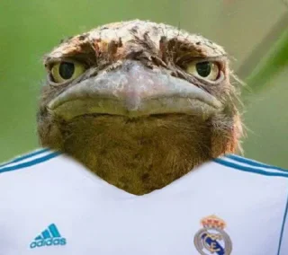 🪃