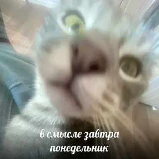 😰