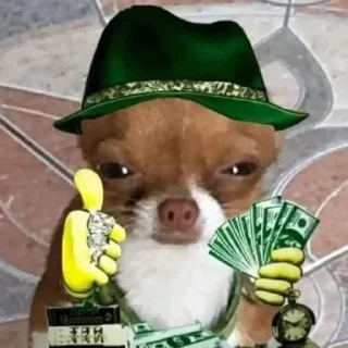 🐶