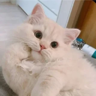 😐