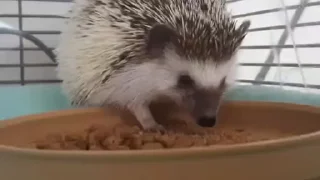 ☺