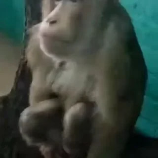 😐