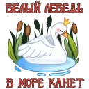 🦢