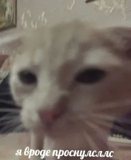 🥱