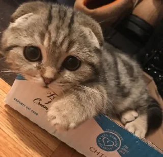 😍