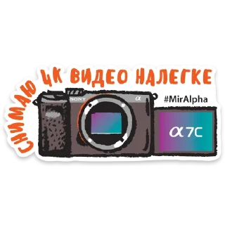 🎬