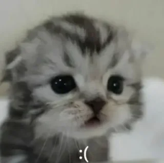 ☹️