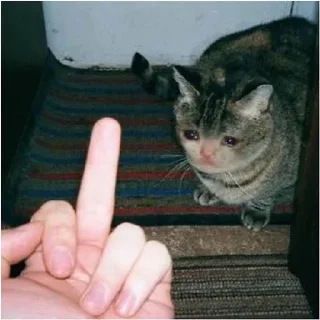 🖕