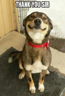 😜