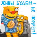 😷