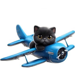 ✈️