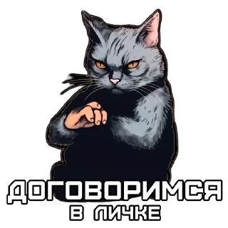 😺