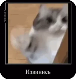 😠