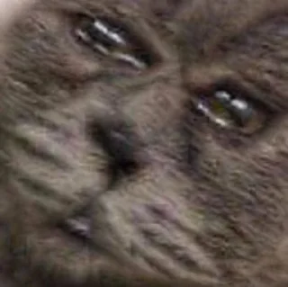 😭