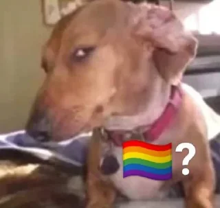 🏳️‍🌈