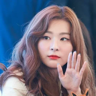 🖇