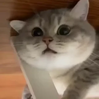 🧶