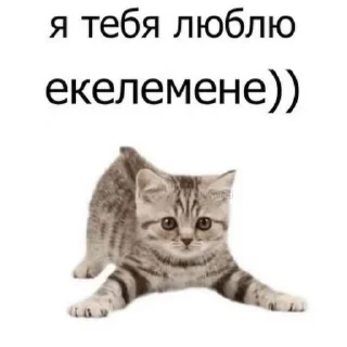 😳