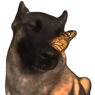 😇