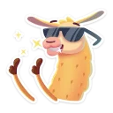 😎