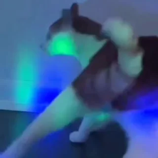 🤩