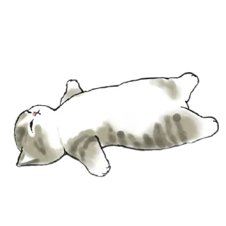 cat @raoo_re