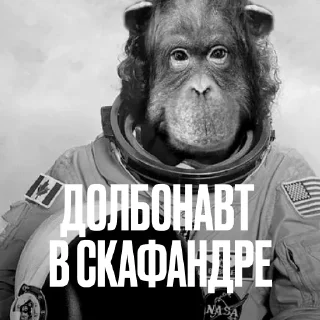 👨‍🚀