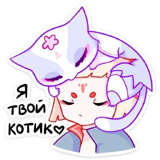 😽