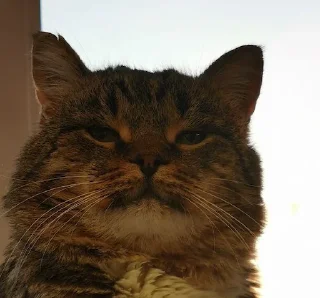 ☺️