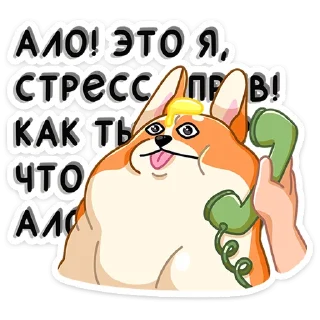 ☎️