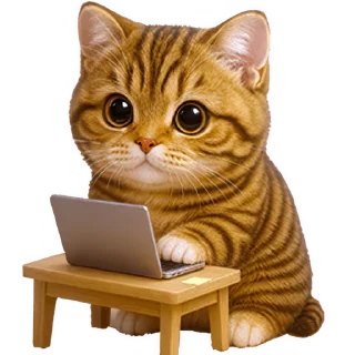 💻