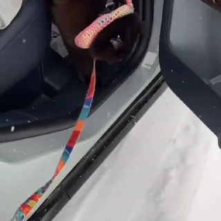 🤩