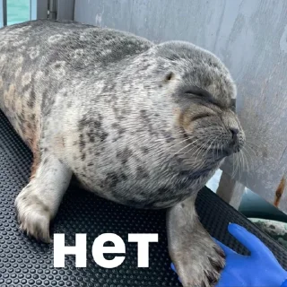 ⛔️
