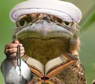 🪃