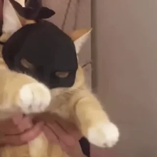 🤠