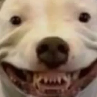 😃