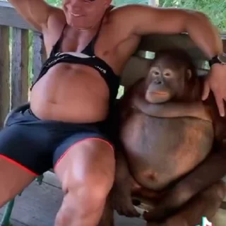 👏