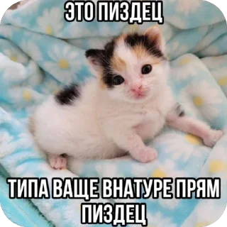 🫥