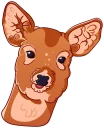 🦌 Mem deers @lennysticker